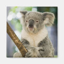 Search for brisbane magnets Tourism
