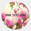 Search for magnolia blossom stickers Botanical