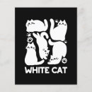 Search for felines flyers For pets