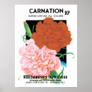 Search for vintage carnation art Floral
