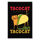 Search for backwards art Taco