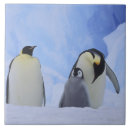 Search for penguin tiles Nature