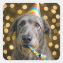 Search for irish seals stickers Birthday