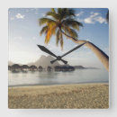 Search for beach hut clocks Palm tree