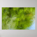 Search for laurel posters Nature