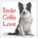 Search for collie dog stickers Border collie puppy