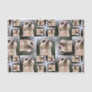 Search for digital art tissue paper Animal