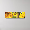 Search for bee sunflower art Photography