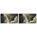 Search for meow pillowcases Pet