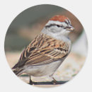 Search for birdlover stickers Nature