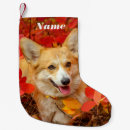 Search for corgi christmas stockings Puppies