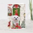 Search for maltese dog christmas cards Pet