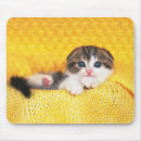 Search for folding mousepads Animal