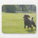 Search for outdoors mousepads Vertical