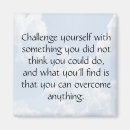Search for challenging magnets Challenge