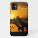 Search for african sunset iphone cases Giraffe