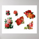 Search for rose bloom posters Roses
