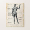 Search for human muscle puzzles Vintage