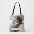 Search for napping accessories Pet