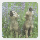 Search for howling dog stickers Nature