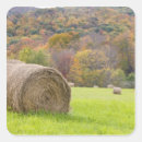 Search for bale stickers Fall