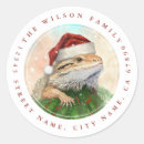 Search for beardie stickers Reptile