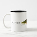Search for flathead mugs Fish