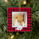 Search for pet photo christmas tree decorations Buffalo plaid