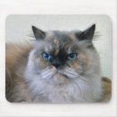 Search for tortoiseshell mousepads Persian