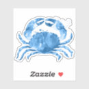 Search for cram Cute