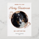 Search for candy cane cards Elegant