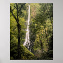 Search for coco posters Cocos island