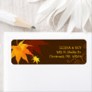 Search for maple tree return address labels Gold