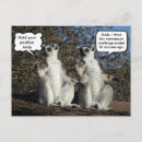Search for lemur postcards Funny