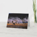 Search for basin cards Nature