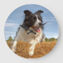 Search for working dog posters Farming