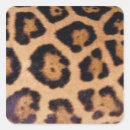 Search for leopard cat stickers Animals