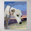 Search for whippet dog posters Animal
