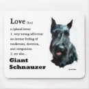 Search for giant electronics Pets