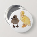 Search for adoreable badges Yellow