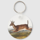 Search for long tail key rings Wildlife
