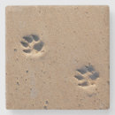 Search for paw print coasters Animal