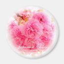 Search for double magnets Pink