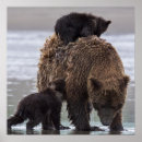 Search for water animal art Usa