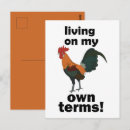 Search for funny animal postcards Bird