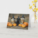 Search for cats halloween cards Animals