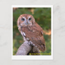 Search for bird postage postcards Birds