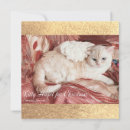 Search for angelic christmas cards Heaven