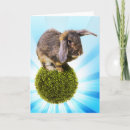 Search for features cards Cute