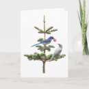Search for blue jay card christmas cards Tree